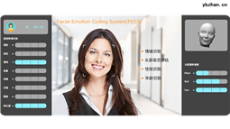 人因智能ErgoAI面部表情分析系统